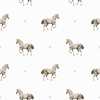 Beau  Pattern - Spring Colourway