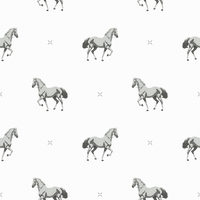Beau  Pattern - Summer Colourway