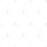Darcy  Pattern - Summer Colourway