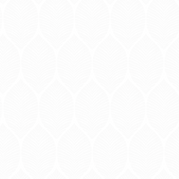 Anastasia  Pattern - Summer Colourway