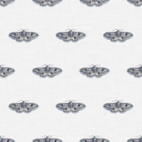 Hector  Pattern - Summer Colourway